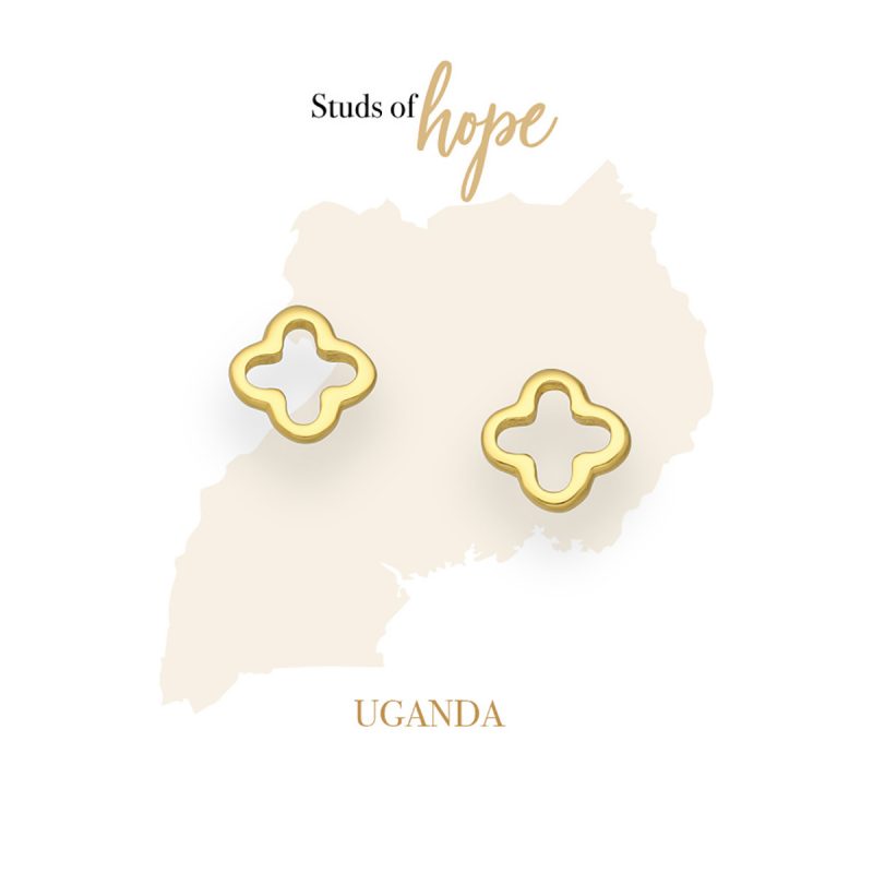 Golden Clover Studs - Uganda